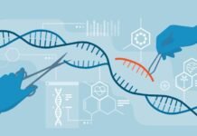 Crispr