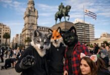 Primer encuentro de la comunidad Therian en Plaza Independencia: qué es, quiénes participaron y por qué se viralizó Primer encuentro de la comunidad Therian en Plaza Independencia